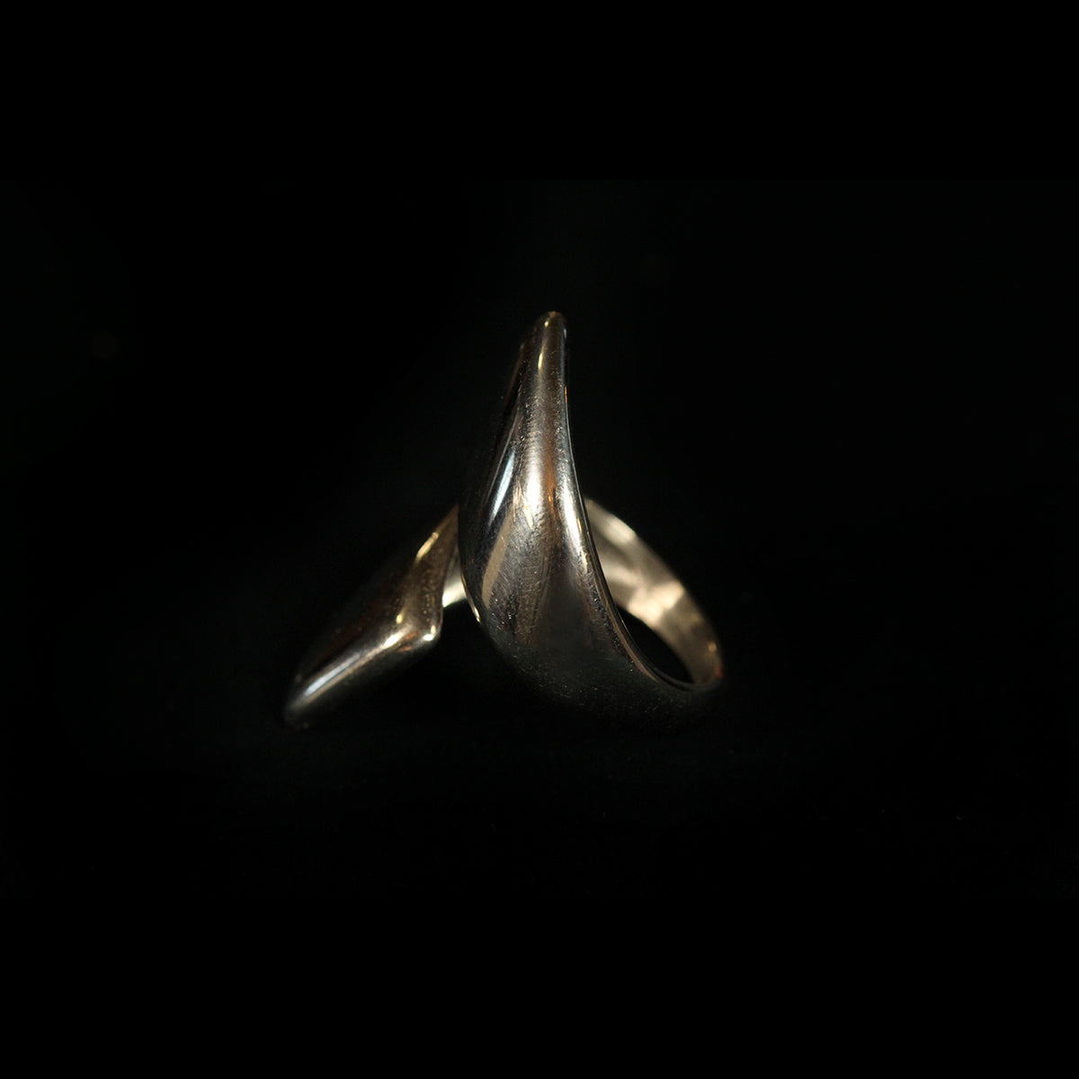 ARMOUR RING