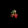 CZ CHERRY NOSE STUD