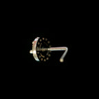 CZ CUSHION GEM NOSE STUD